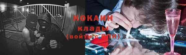 прущие грибы Алексеевка
