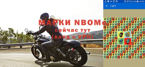 мет Алексин